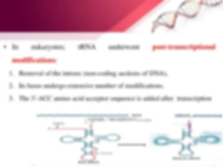 pfa