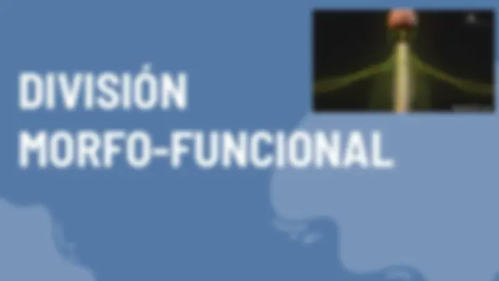 pf37
