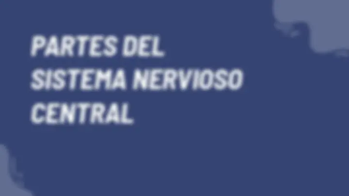 pf24