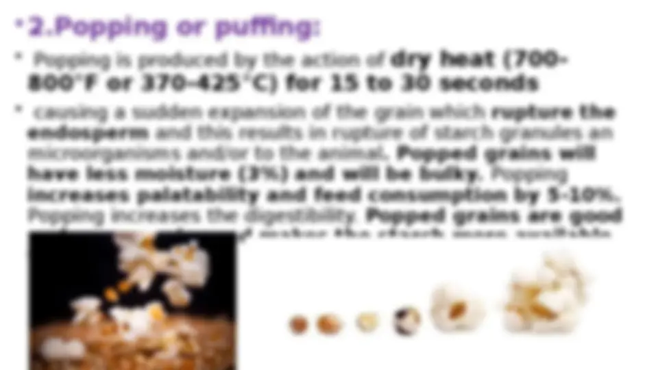 pf26