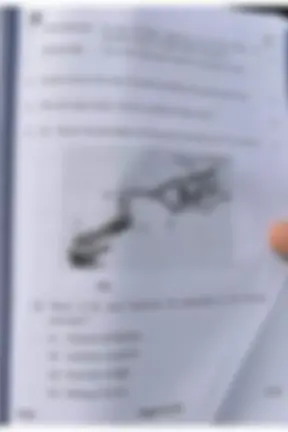 pf5