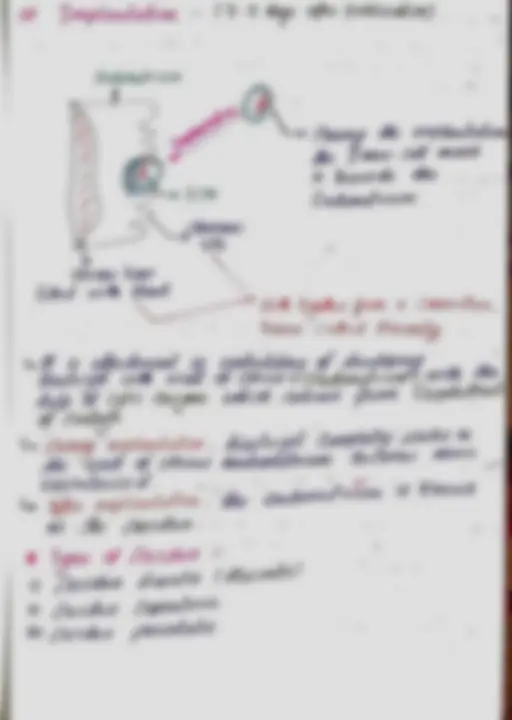 pf1f