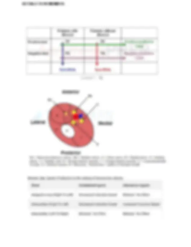 pf13