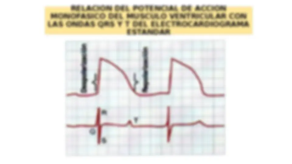 pf5