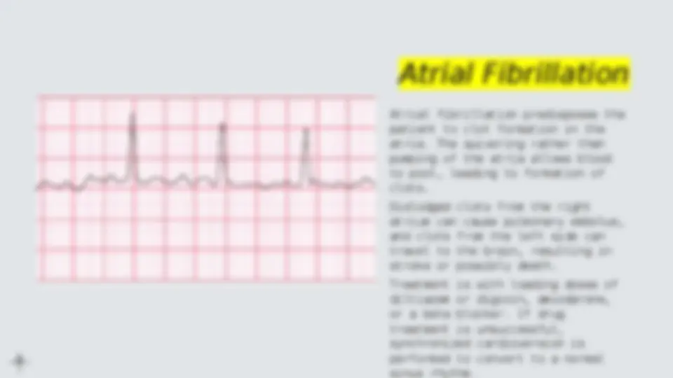 pf23