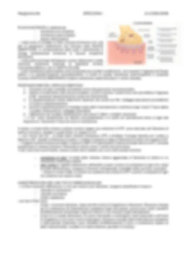 pf24