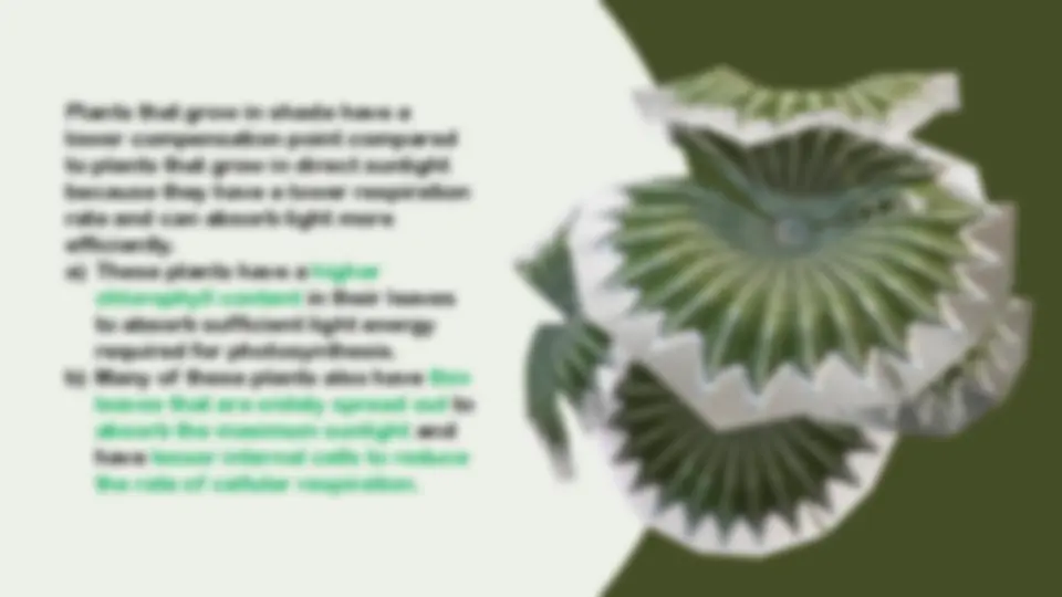 pf48
