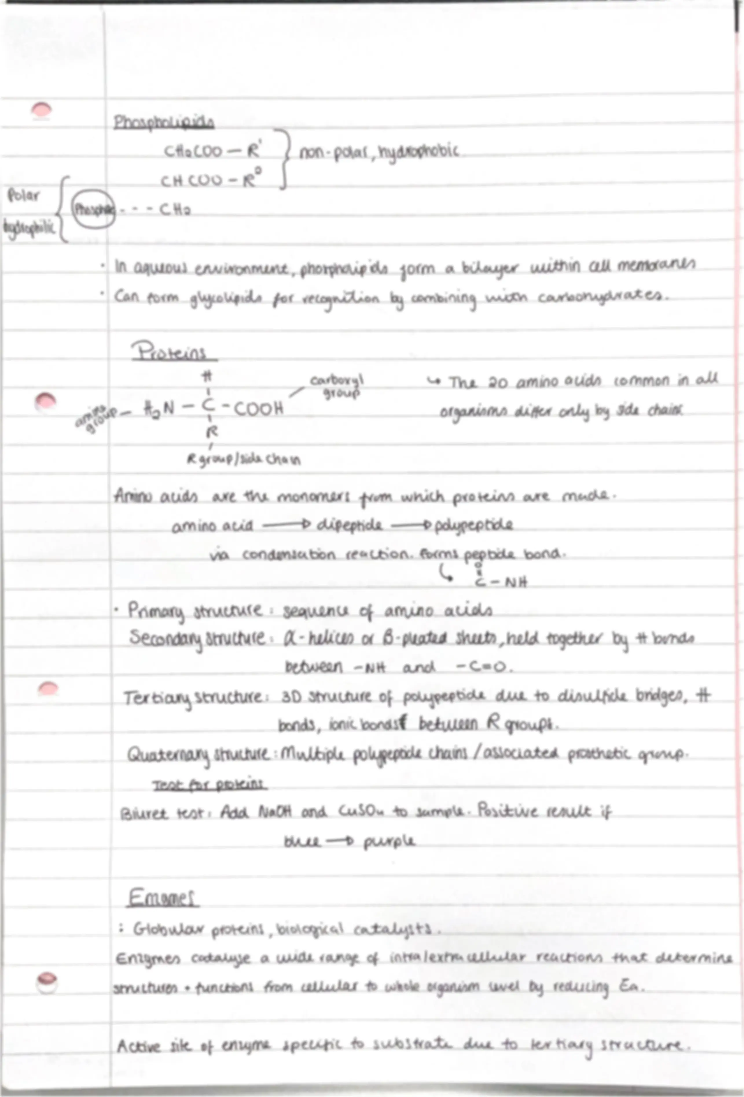 pf3