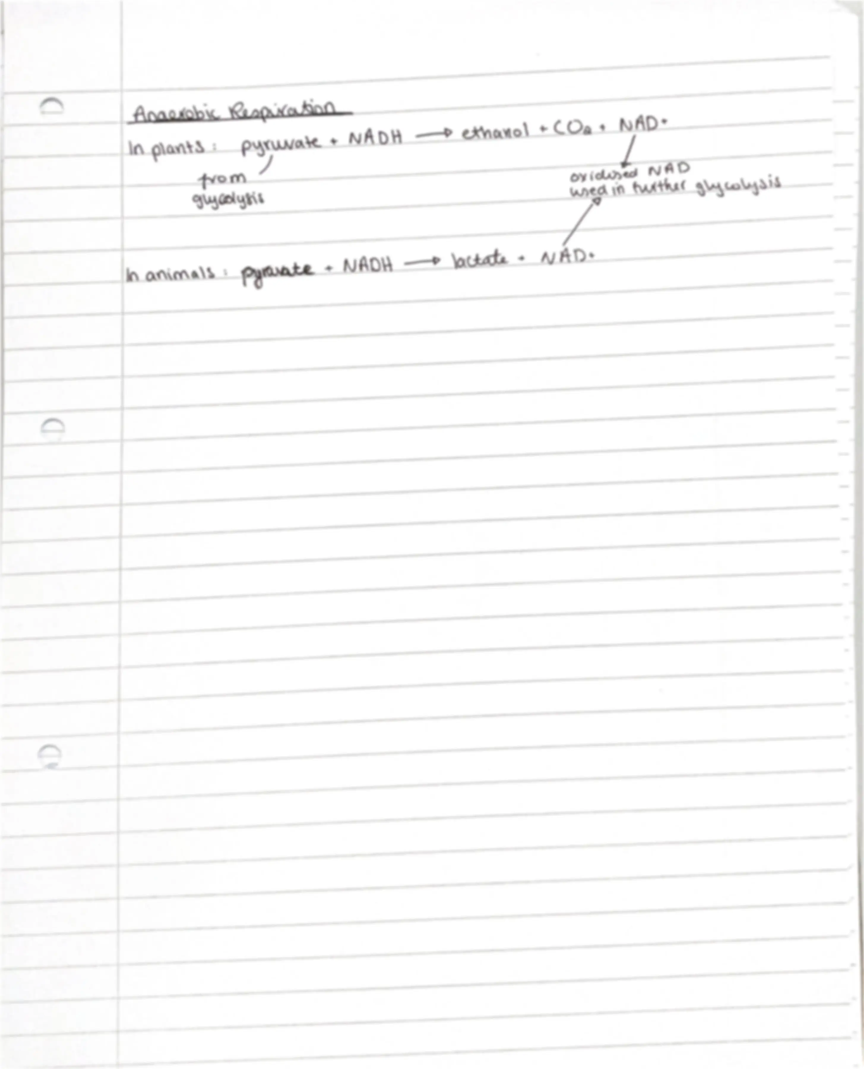 pf3