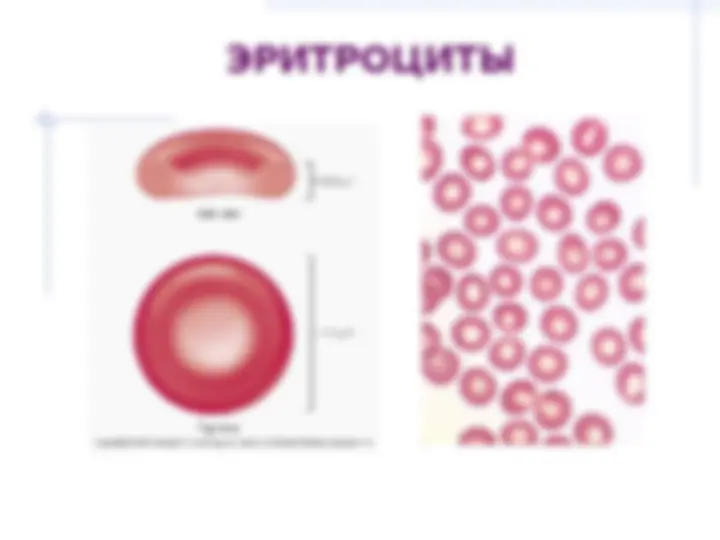pf13
