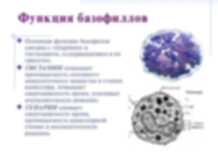 pf2f