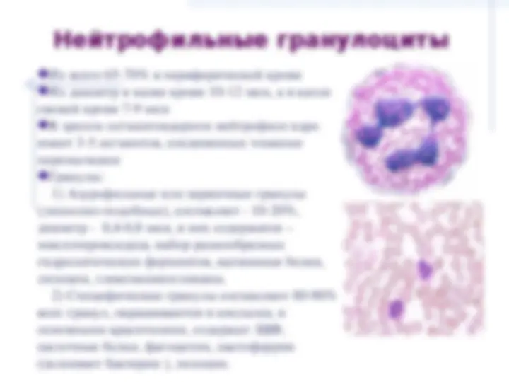 pf26
