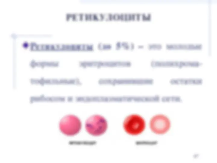 pf1b