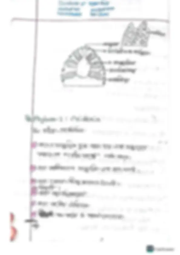 pf13