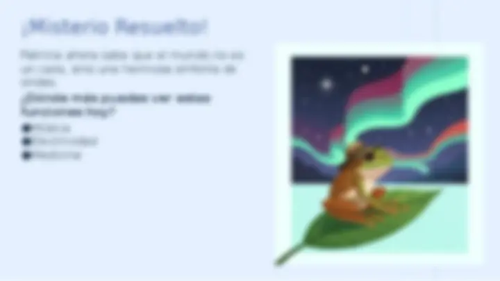 pf20