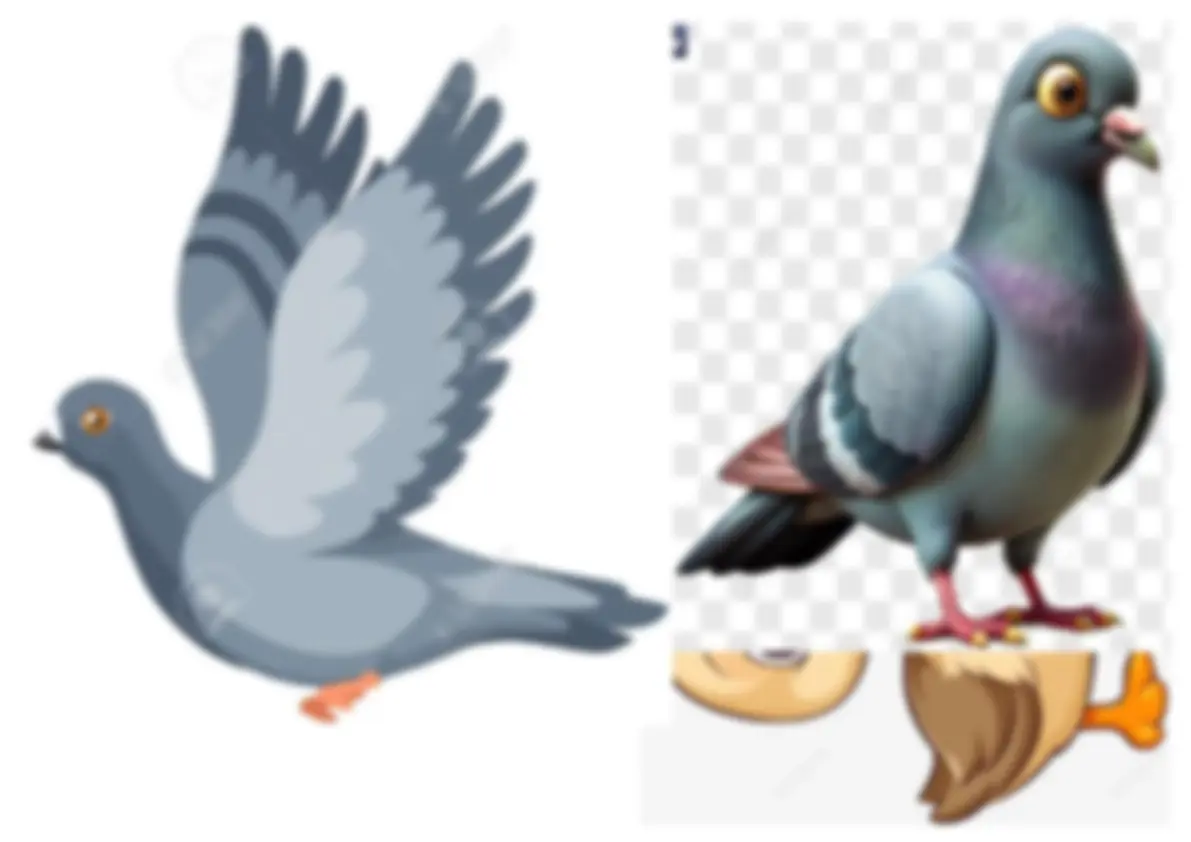 pf3