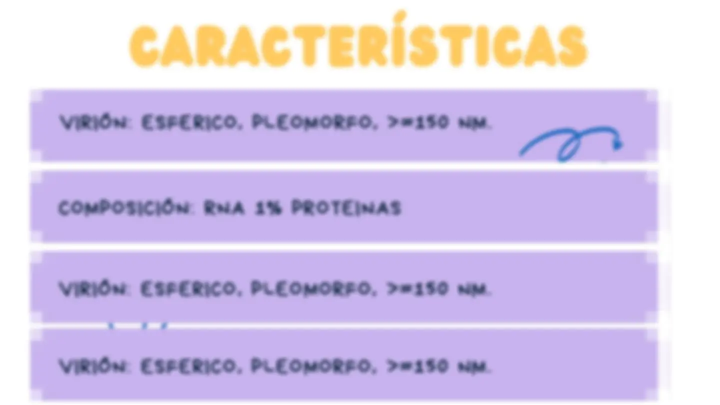 pf19
