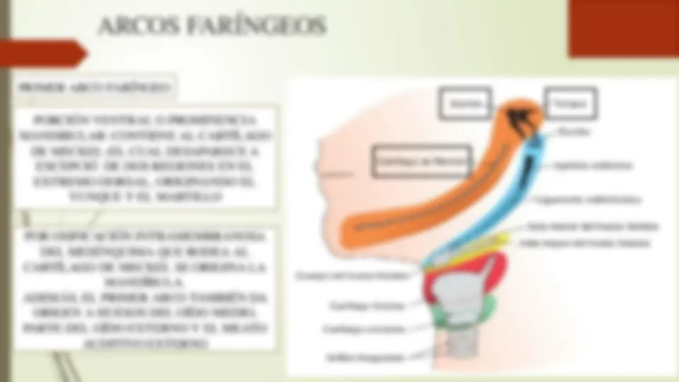 pf5