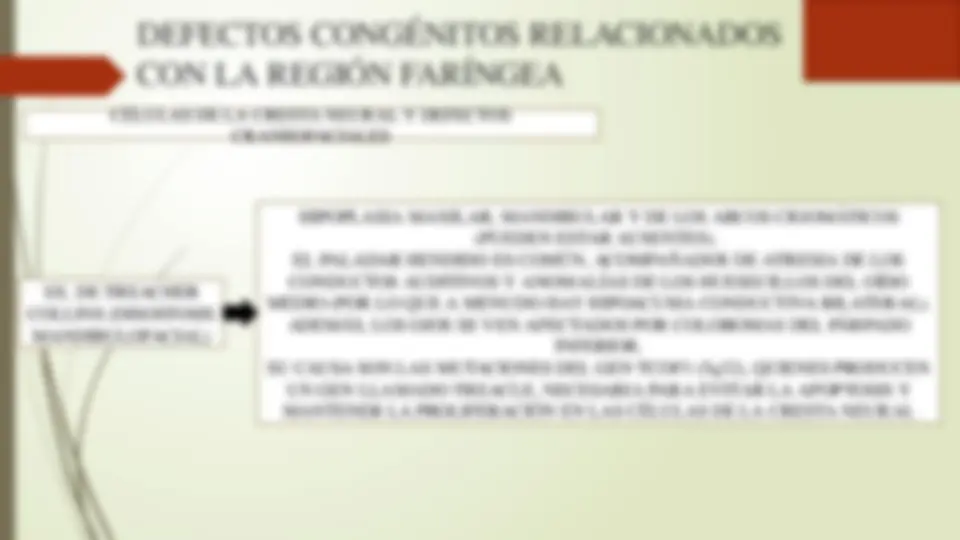 pf19