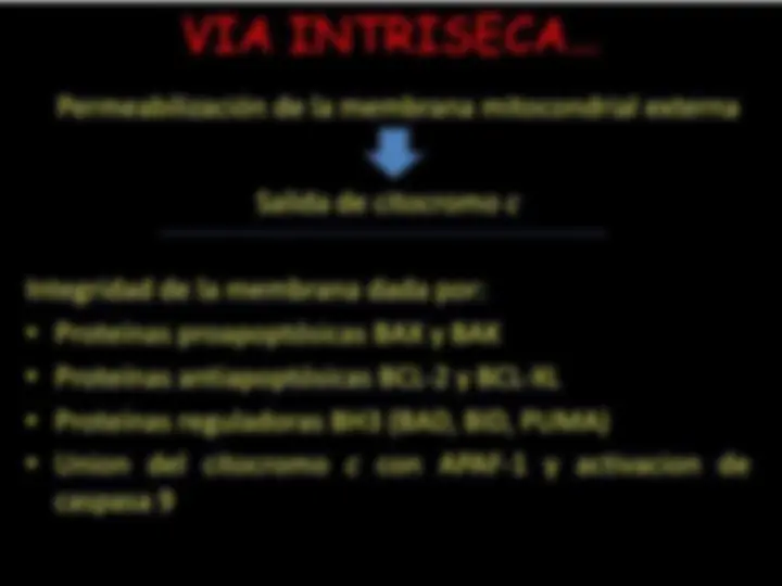 pf4e