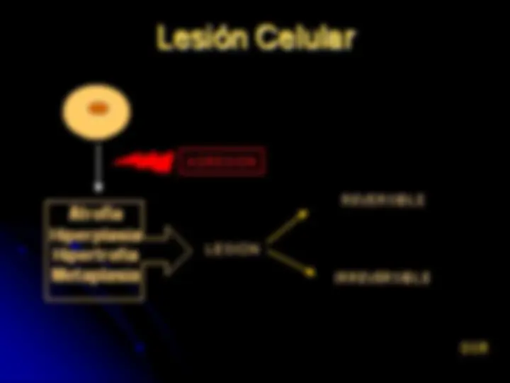 pf4