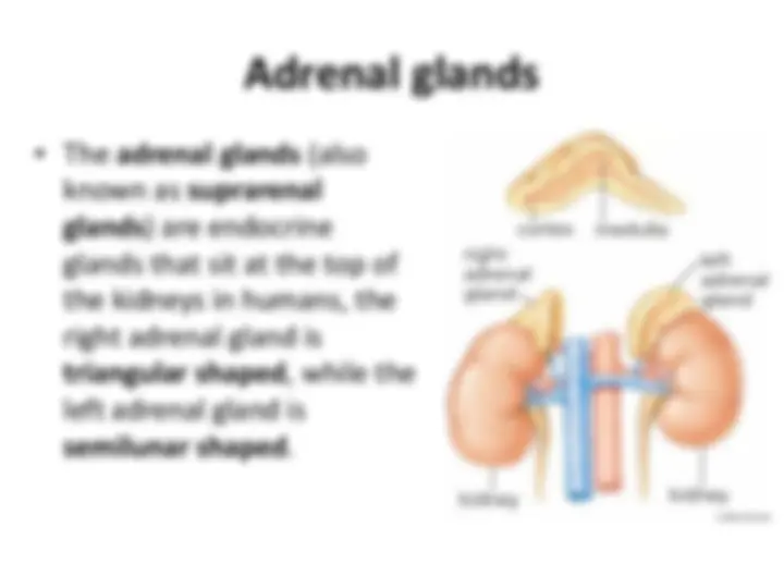 pf43