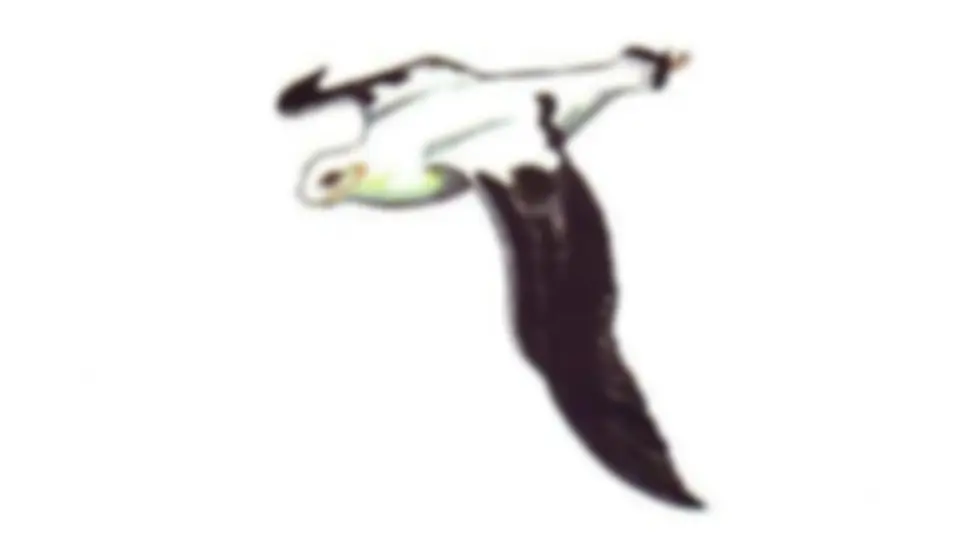 pf3f