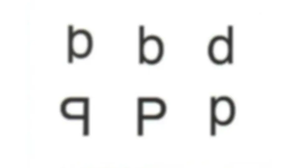 pf24