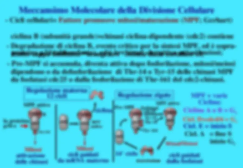 pfa