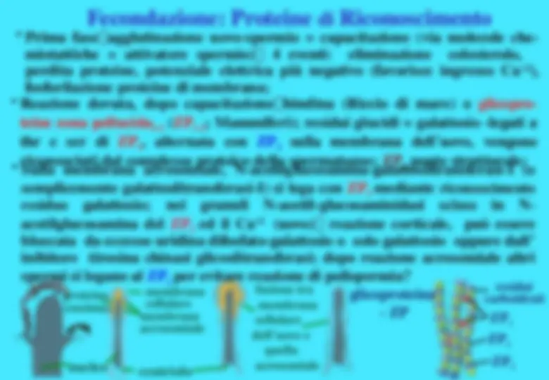 pf8