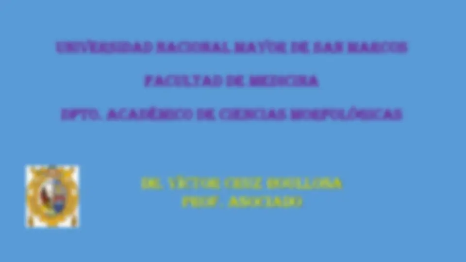 pf64