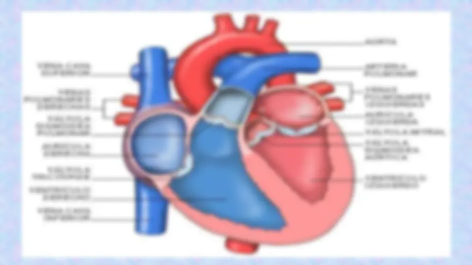pf5c