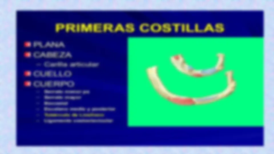 pf13
