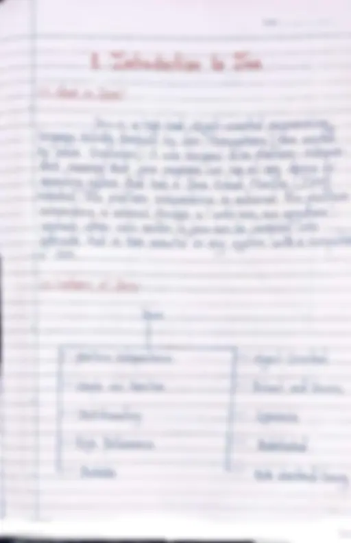 pf5
