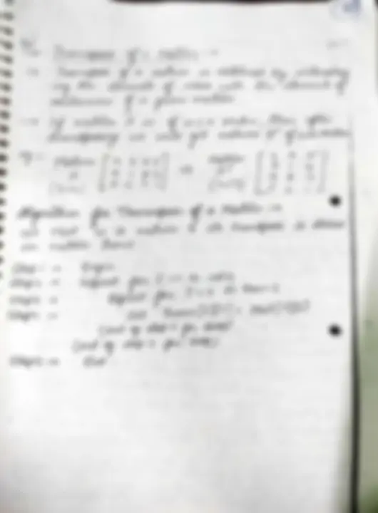 pf31