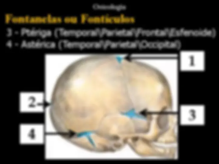 pf44