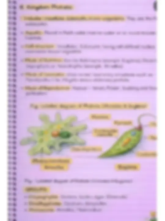 pf3