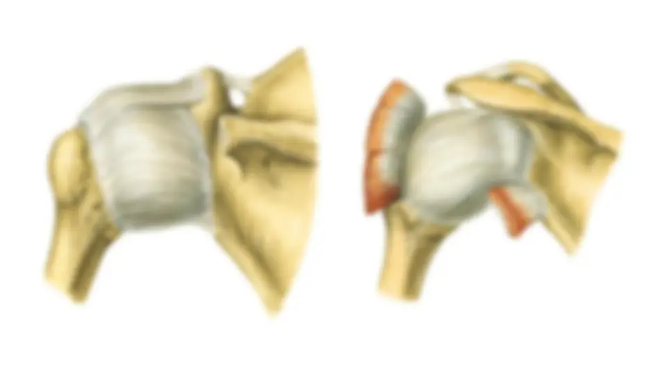 pf3