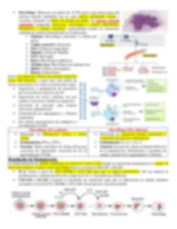 pf1b