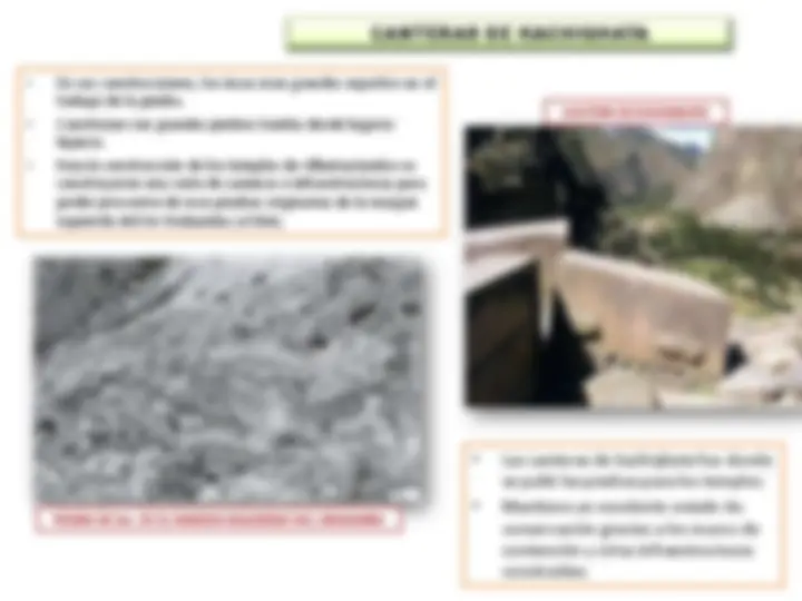 pf13