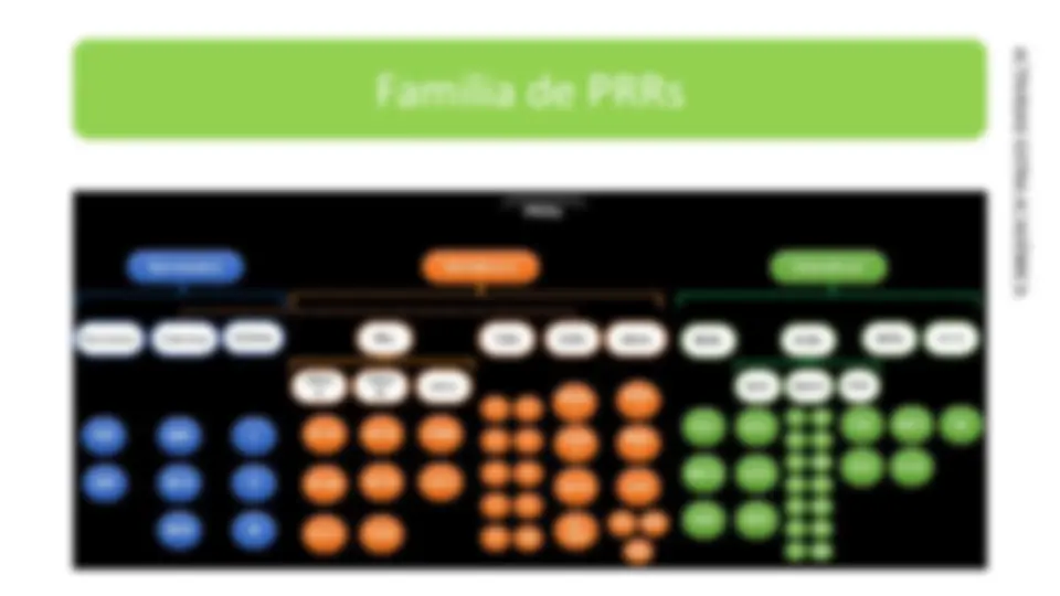 pf2e