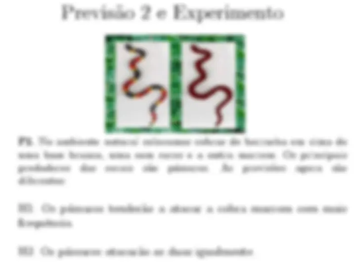 pf14