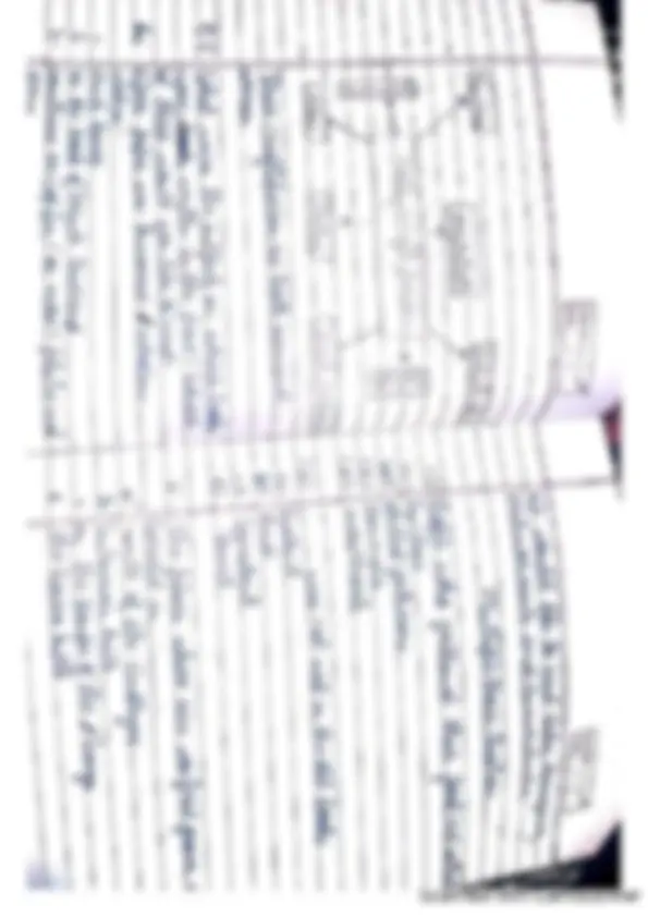 pf5