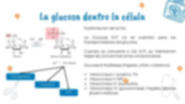pf4