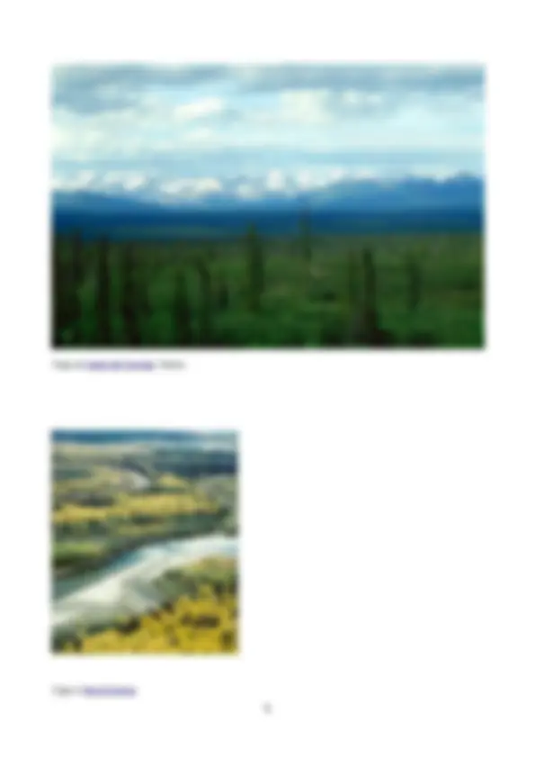pf5