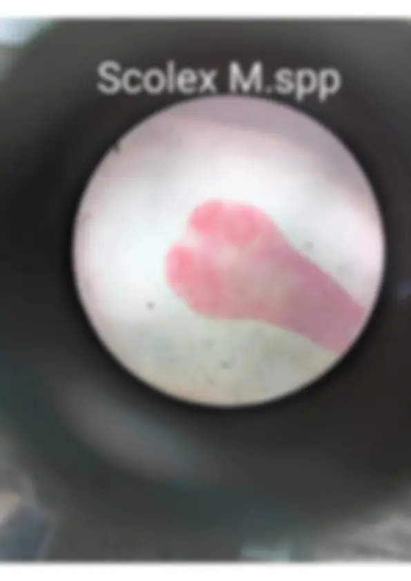 pf8