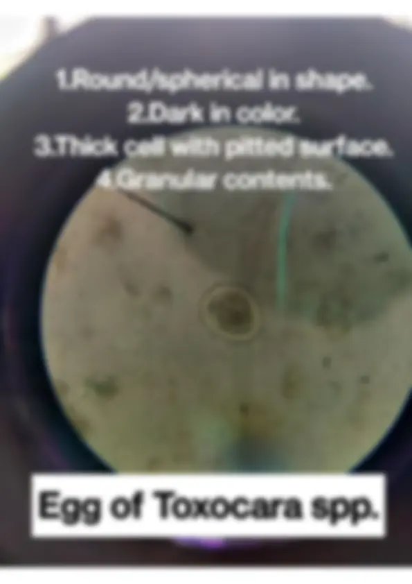 pf5