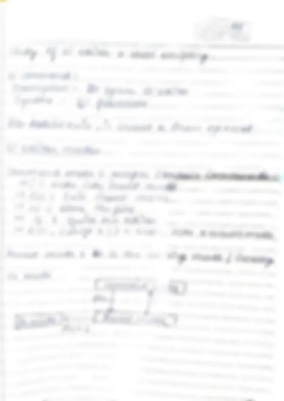 pf19