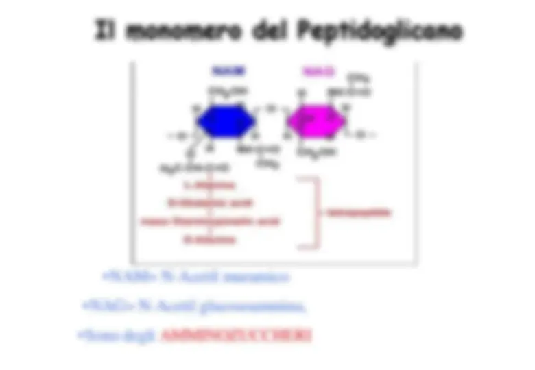 pf1f