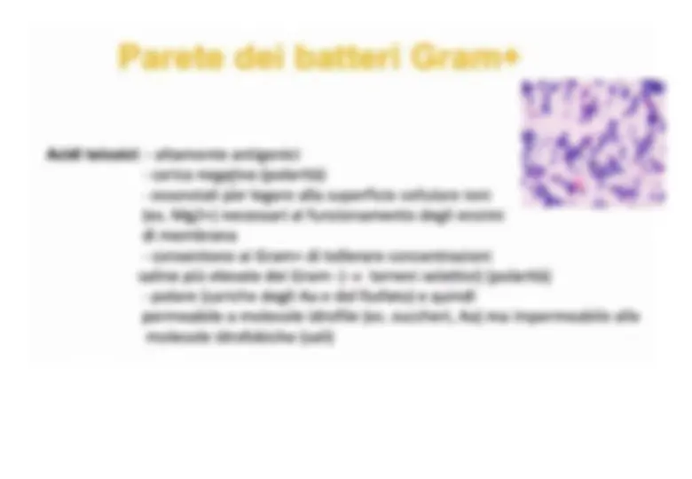 pf29